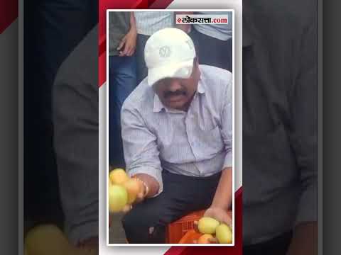 farmer threw tomatoes on the road video viral