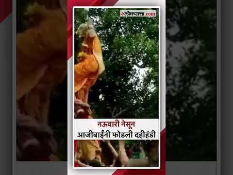 wearing nauvari saree old age women break dahi handi video viral
