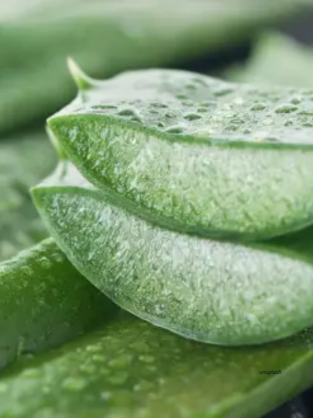 Aloe vera (Unsplash)