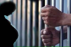 नागपूर: तरुणीला गर्भवती करणाऱ्या वृद्धाला ७ वर्षांची शिक्षा man gets 7 years in jail for impregnating girl