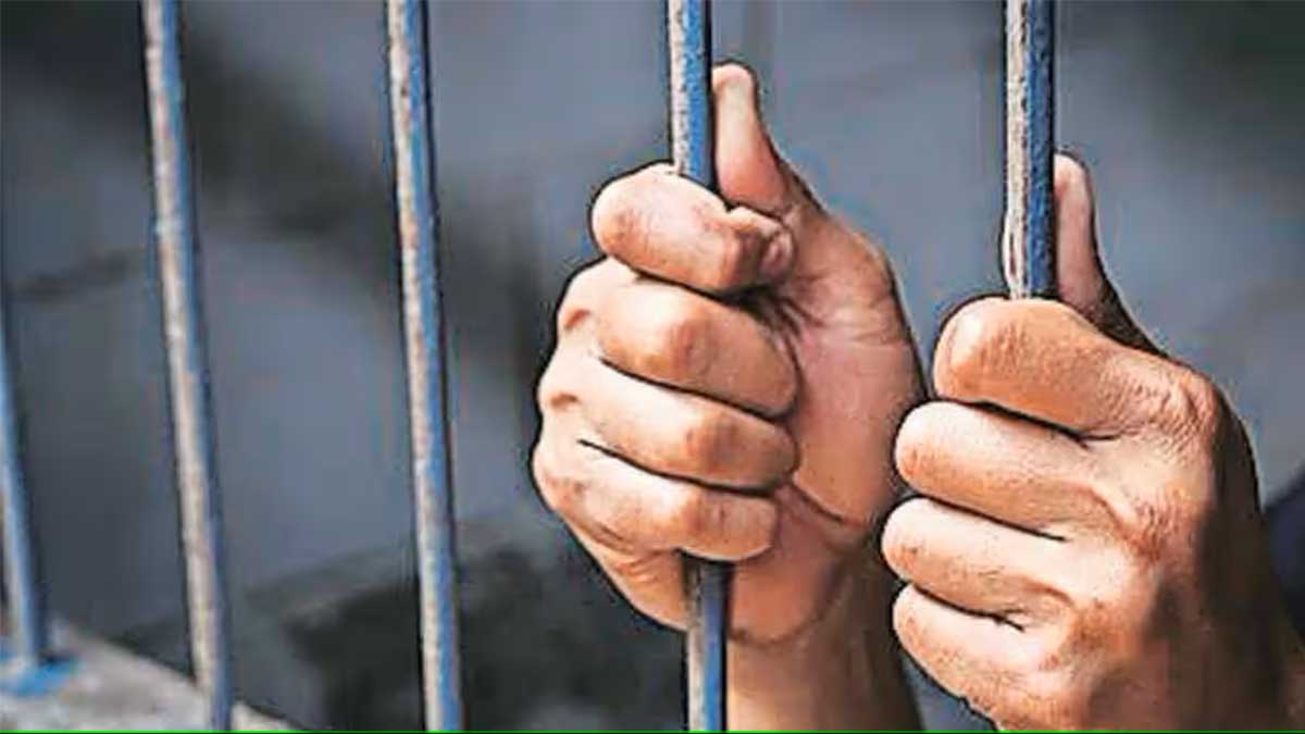 bombay high court sentences developer