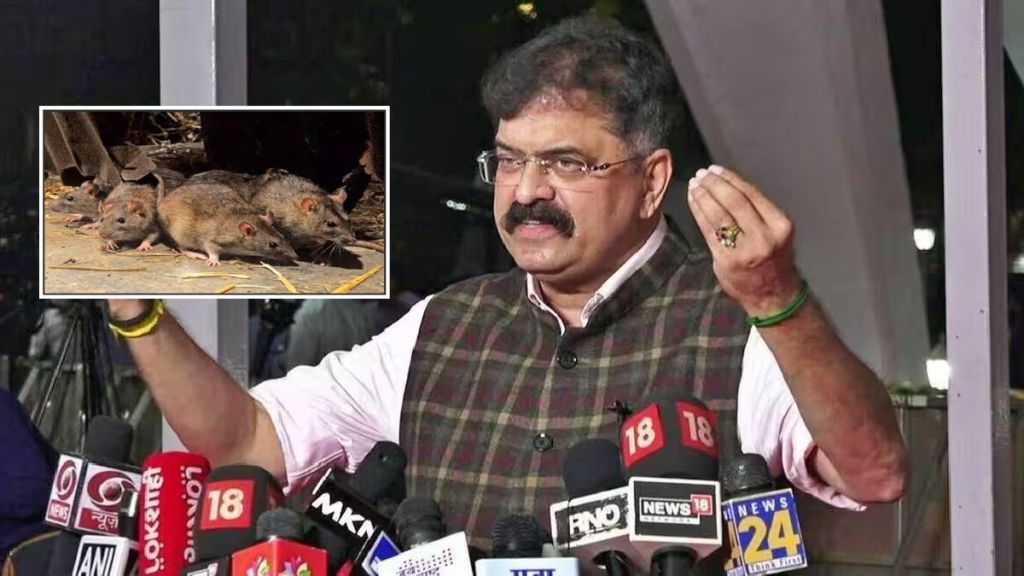 jitendra awhad on rat catching by up govt