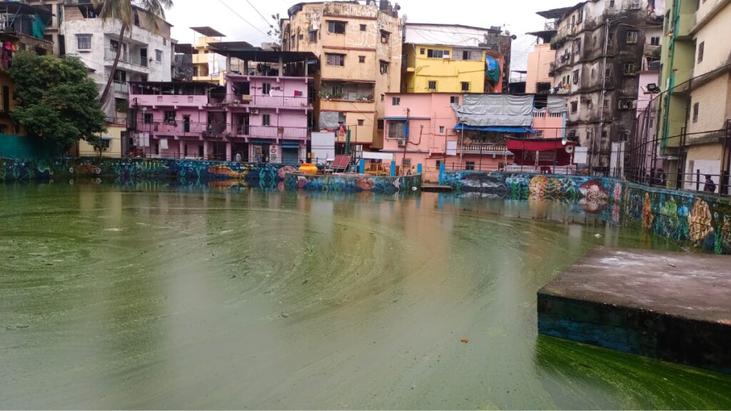 algae stench spread lake Juhugaon Villagers immerse bappa idol water