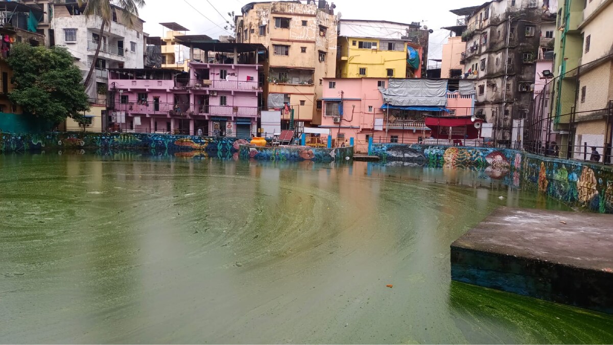 algae stench spread lake Juhugaon Villagers immerse bappa idol water