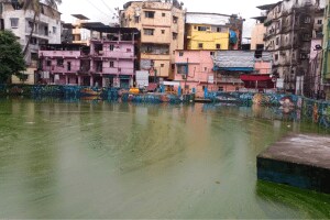 नवी मुंबई: पालिकेचे २४ लाख पाण्यात, दोन महिन्यांपूर्वी सफाई केलेल्या जुहुगावातील तलावात पसरलं शेवाळ algae stench spread lake Juhugaon Villagers immerse bappa idol water