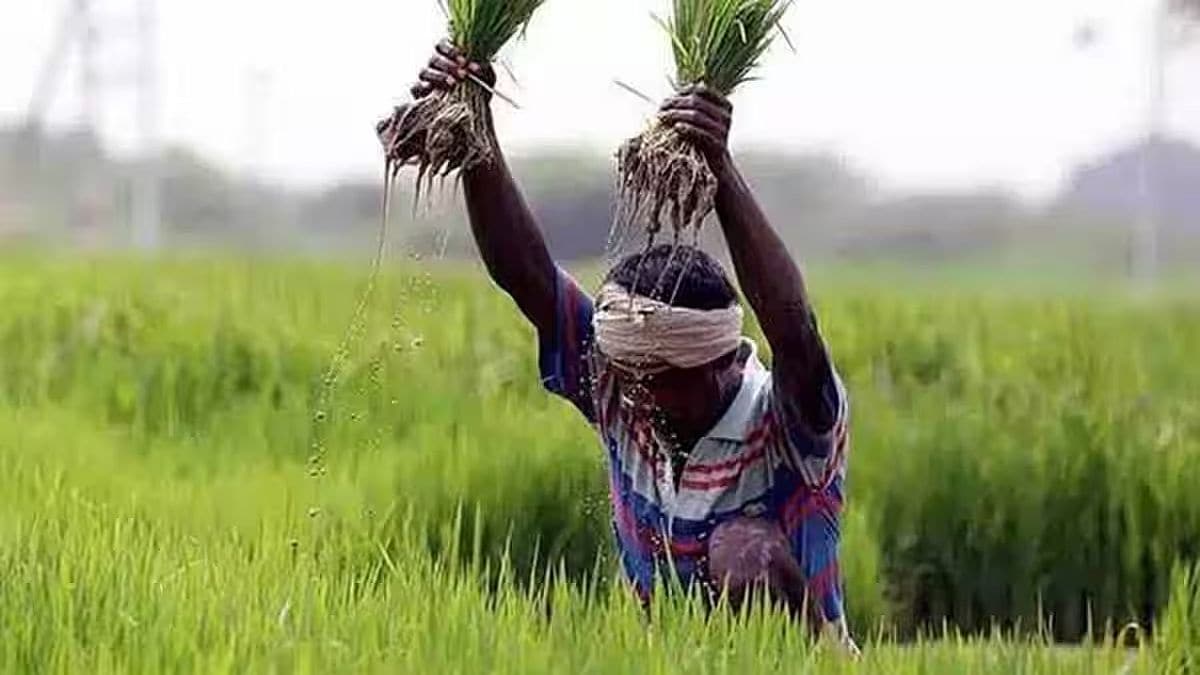 kharip season farmer losss