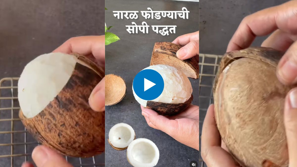 World Coconut Day 2023 how to break coconut