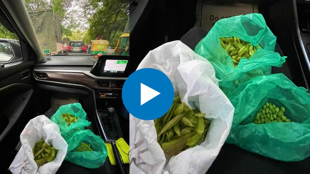 Woman stuck in Bengaluru traffic makes the most of her time peeling vegetables