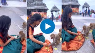 Hungry Moneky snached Food form A Girl and eat, she trying to feed them by her hand Viral Video wins heart on Internet