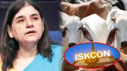 maneka gandhi