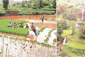 natural beauty of mandoshi village