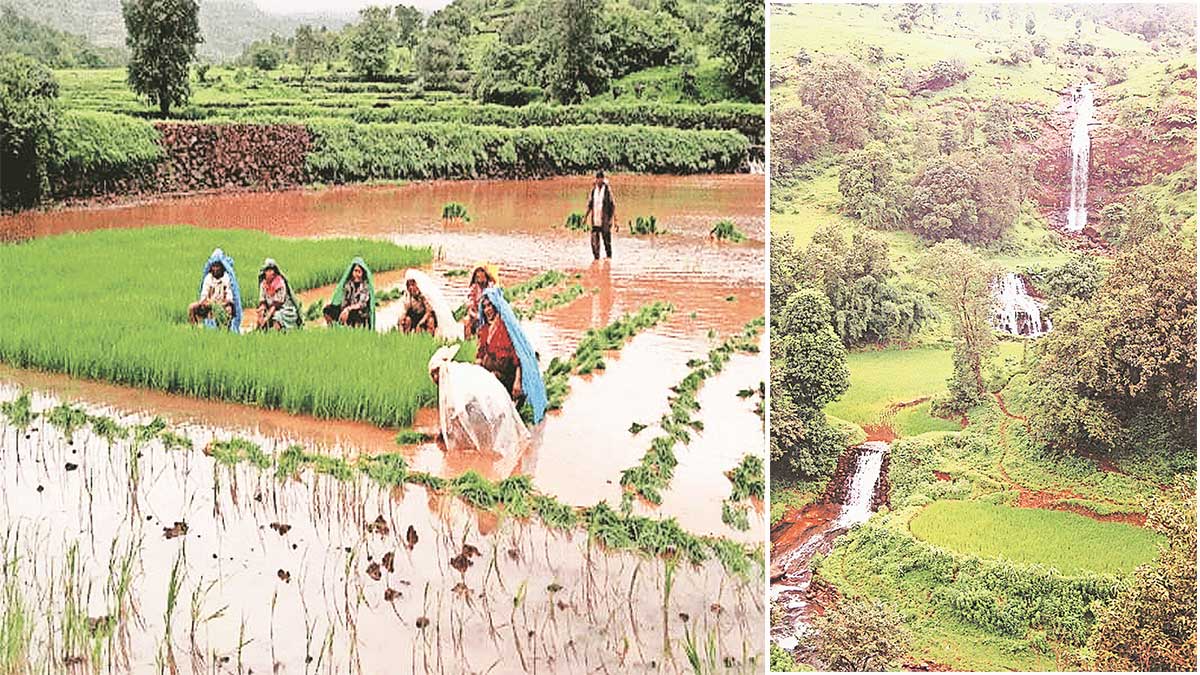 natural beauty of mandoshi village
