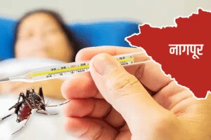 नागपुरात नवीन डेंग्यू संशयितांची चाचणी होणार कशी? नवीन किट्स आल्या पण… nagpur not enough kits inspect suspects dengue