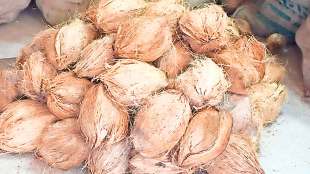 coconut sales in pune and mumbai