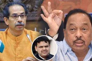“आमचे देवेंद्र फडणवीस उद्धव ठाकरेंपेक्षा देखणे”, ‘त्या’ टीकेला नारायण राणेंचं प्रत्युत्तर narayan rane devendra fadnavis uddhav thackeray
