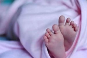 One new born dies every 39 minutes