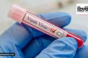 nipah virus