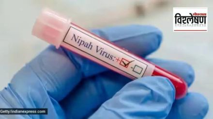 nipah virus