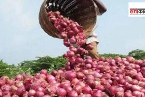 कांद्याच्या दरावरून सत्ताधारी आणि विरोधकांमध्ये जुंपली Clashes over the price of onion