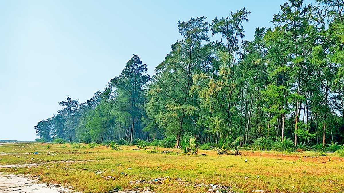 demand for adjacent land to proposed wadhwan port