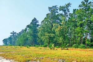 वाढवण बंदराआधीच जमीनविक्रीला जोर; स्थानिकांचा प्रकल्पाला विरोध असतानाही १५०० एकरांचे व्यवहार demand for adjacent land to proposed wadhwan port