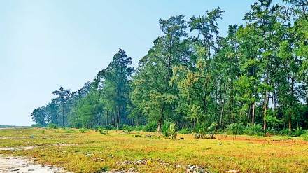 demand for adjacent land to proposed wadhwan port