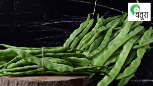 terrace garden cultivation field beans kitchen garden