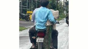 bike use for injured peacock treatment