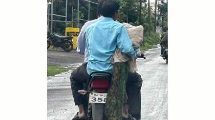 bike use for injured peacock treatment