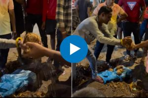 बाप रे! नारळ हातात ठेवून फोडतात हे लोक, धोकादायक खेळाचा व्हिडिओ पाहून अंगावर येईल काटा people cracks coconuts on each others palmsm dangerous game shocking video goes
