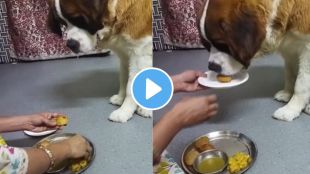 a woman offer panipuri to pet animal dog netizens criticize video goes viral