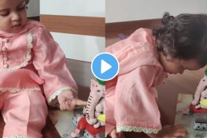 “तुला लाडू आवडतो?” चिमुकलीने थेट बाप्पाला विचारला प्रश्न; पाहा गोंडस व्हिडीओ cute video goes viral ganeshotsav
