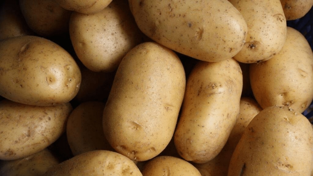 Arrival new potatoes Maharashtra started APMC