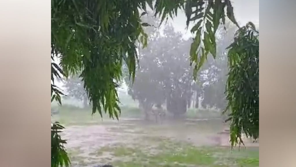 rain , washim, washim news , Rain News in Maharashtra, Monsoon updates in marathi,