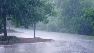 rain