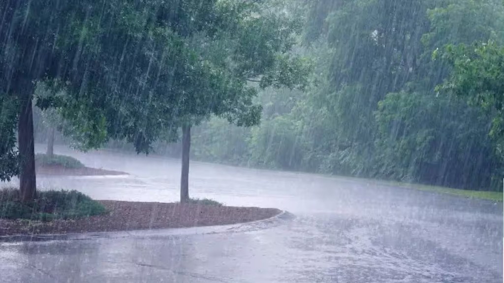 rain
