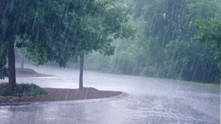 rain