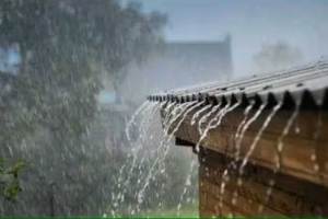 नेरूळमध्ये अर्ध्या तासात १९.८० मिमी पावसाची नोंद; सायंकाळी बेलापूर नेरुळला पावसाने झोडपले rain in navi mumbai nerul recorded 19 80 mm rainfal