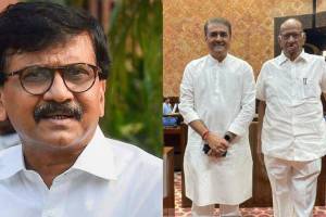 sanjay raut prafull patel sharad pawar