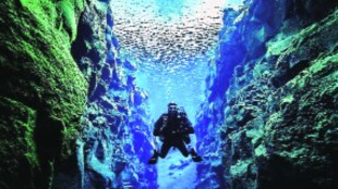 sea world kutuhal