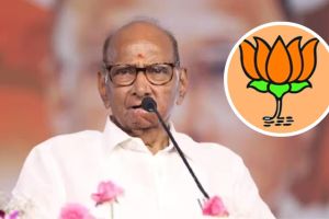 sharad pawar (6)