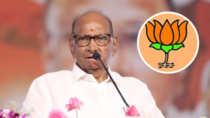 sharad pawar (6)
