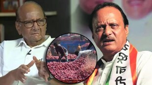 sharad pawar ajit pawar onion selling