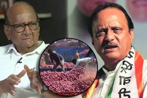 सरकार कांदा उत्पादकांच्या पाठीशी; उपमुख्यमंत्री अजित पवार यांची ग्वाही; लिलाव सुरू करण्याचे आवाहन sharad pawar ajit pawar onion selling