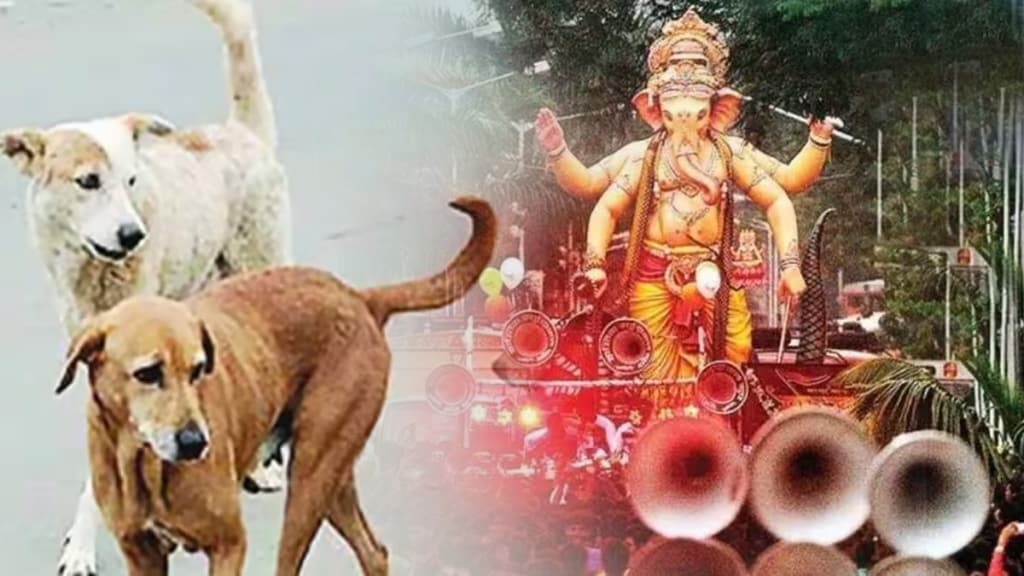 migration stray animals noise pollution Ganeshotsav thane