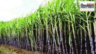 government had to reverse decision to ban sugarcane export