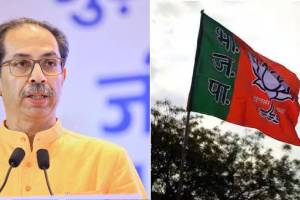 भाजपाकडून ६-७ दिग्गज आमदारांना लोकसभा निवडणुकीत उतरवण्याची चर्चा, ठाकरे गटाचे खासदार म्हणाले… uddhav thackeray bjp flag