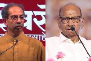 uddhav thackeray sharad pawar