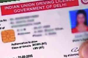 vehicle licenses are pending