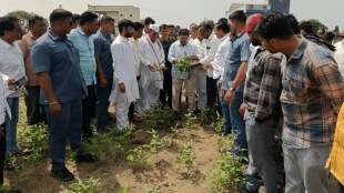 Vijay Waddetivar's assurance raising question bad crop condition government